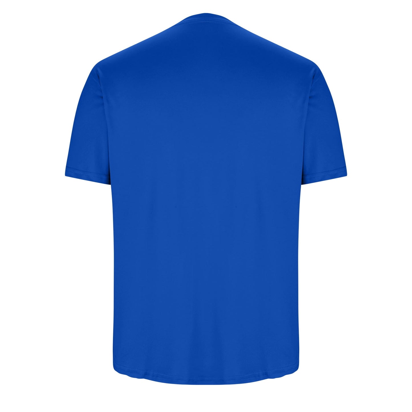 Men’s Short Sleeve Sports T-Shirt – Dry Fit Workout Top, Blue
