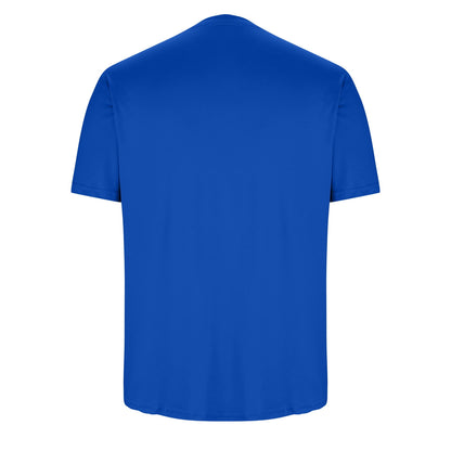 Men’s Short Sleeve Sports T-Shirt – Dry Fit Workout Top, Blue